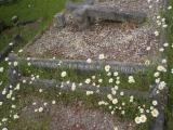 image of grave number 140095